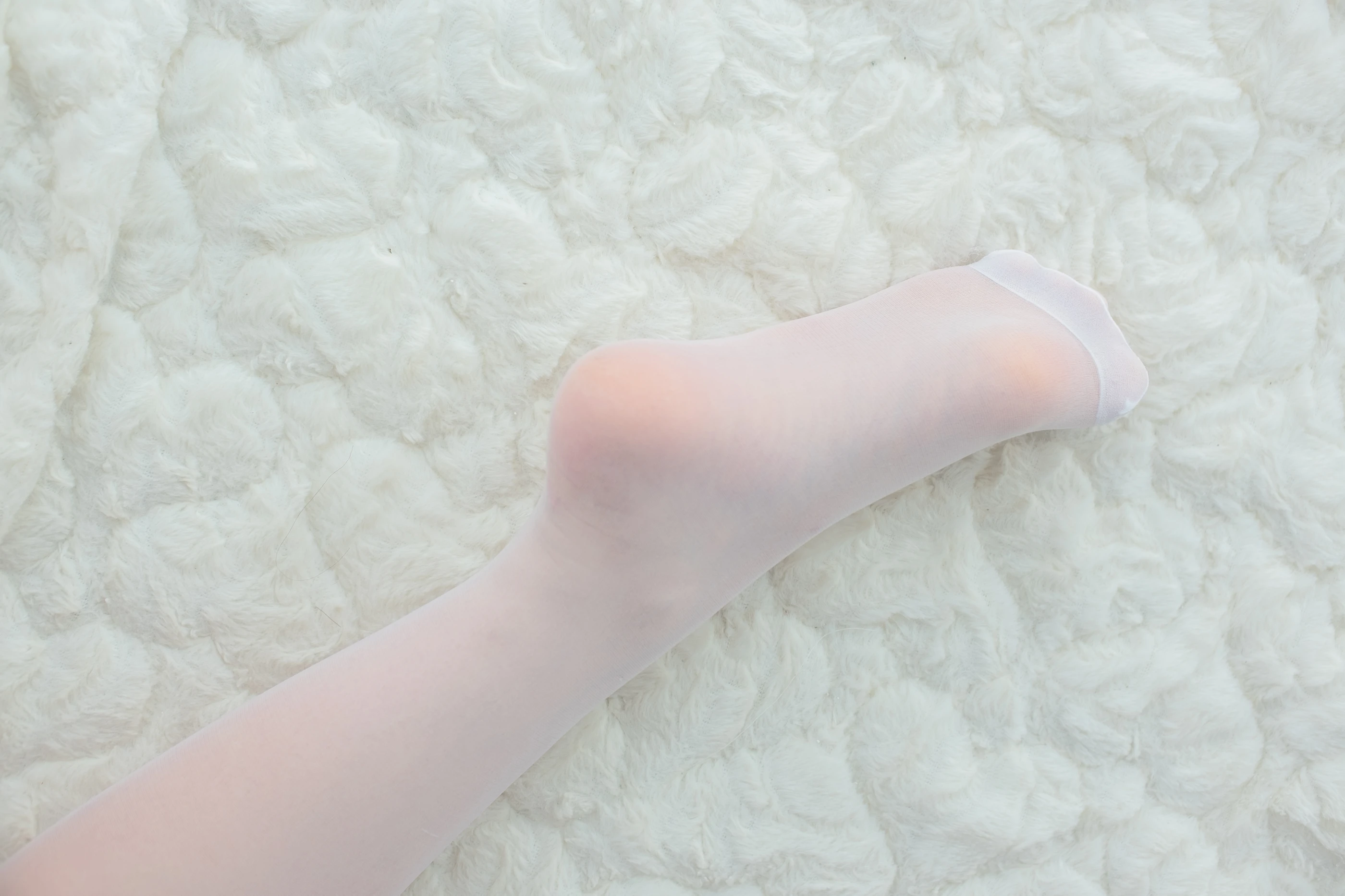森萝财团 SSR-003 [161P]插图1